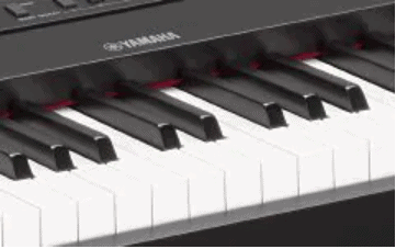 Yamaha DGX-660 Sensitivity